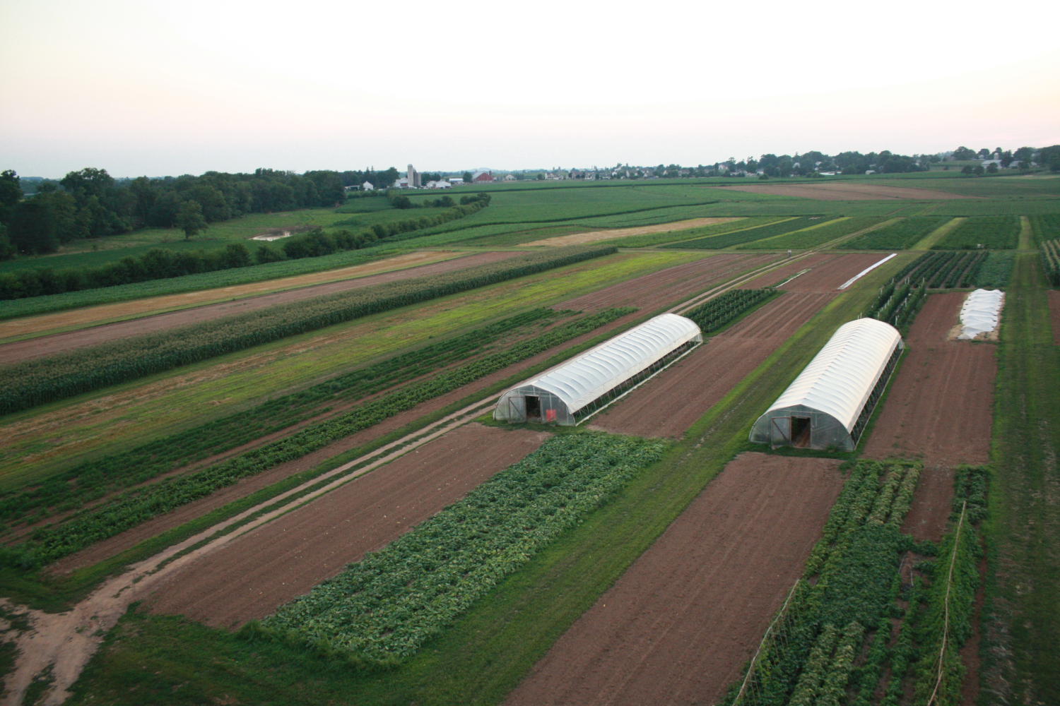 CSA farm operations